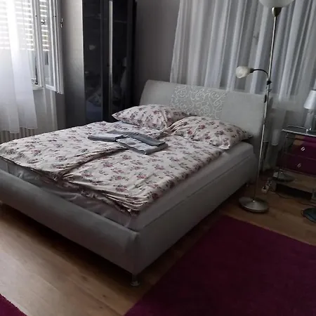 Anker Silver Dream *