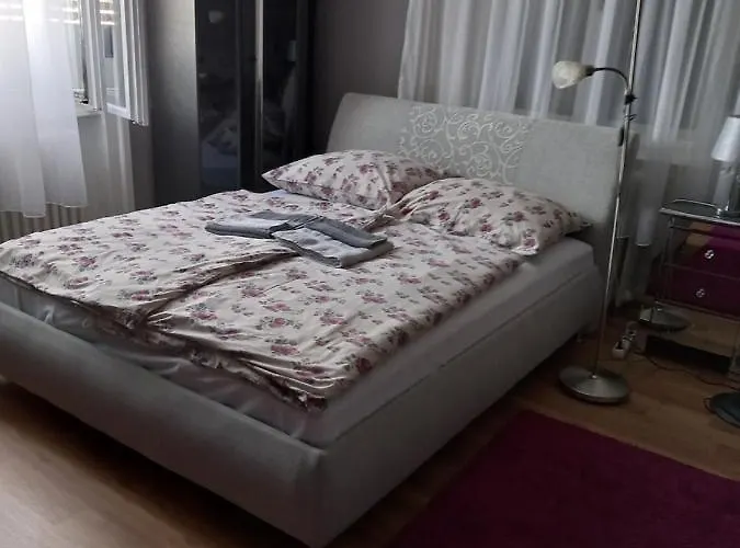 Anker Silver Dream *